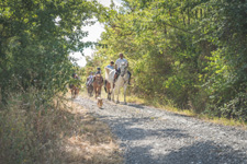 Italy-Tuscany-Gourmet Ride in Tuscany